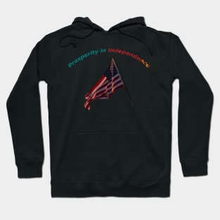 Future in Search of Light Hoodie